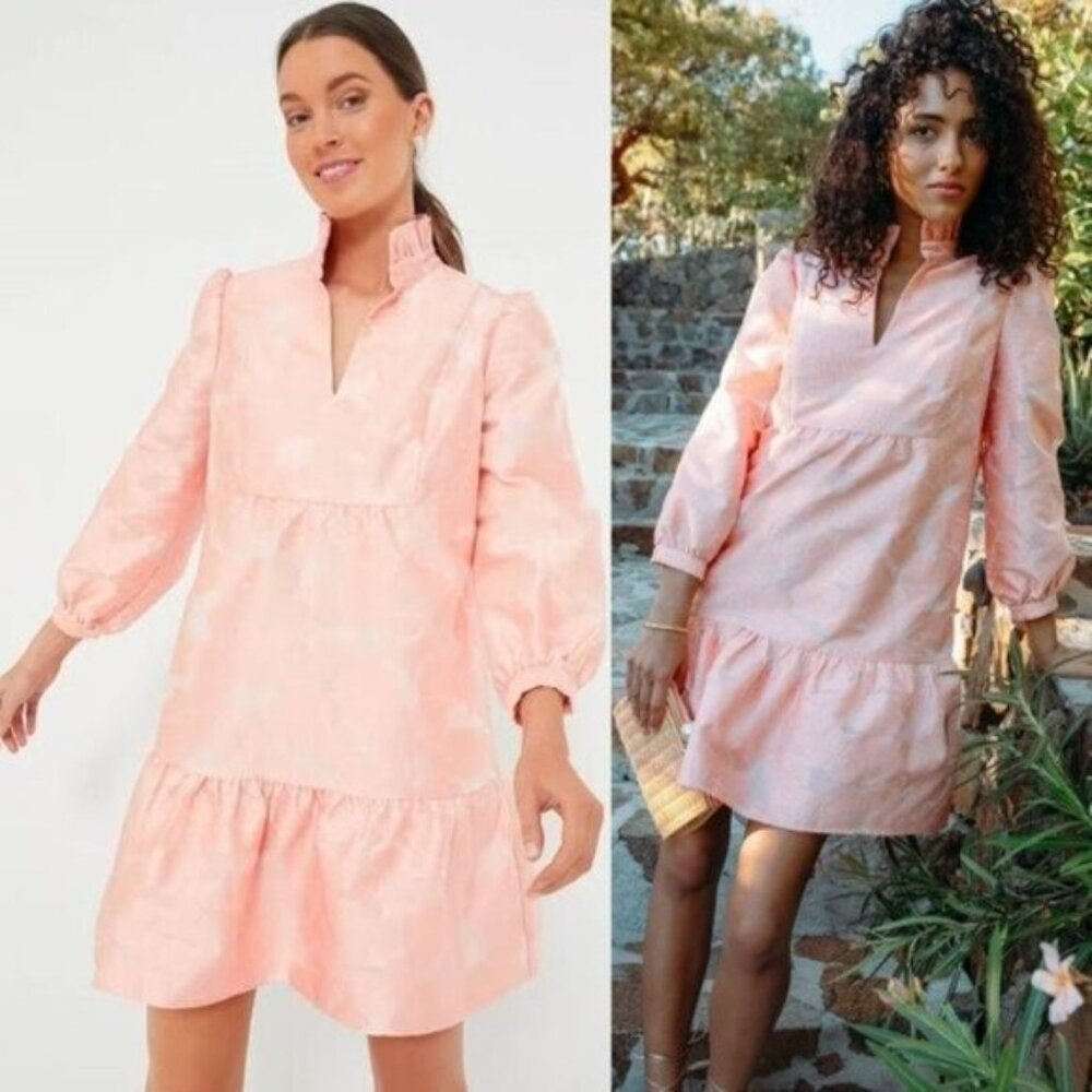 Tuckernuck NEW Bellini Fil Coupe Pink Drop Waist Long Sleeve Palmerston Dress M - Picture 4 of 12